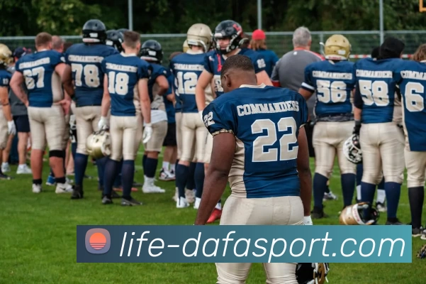 大发集团平台生态图